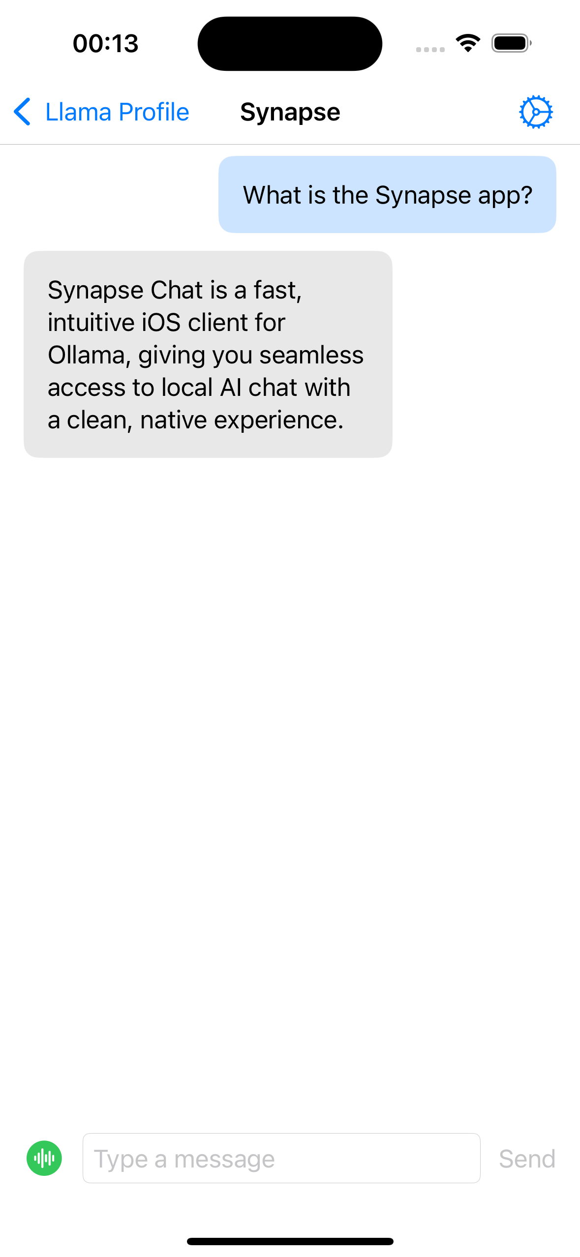 Chat conversation screen